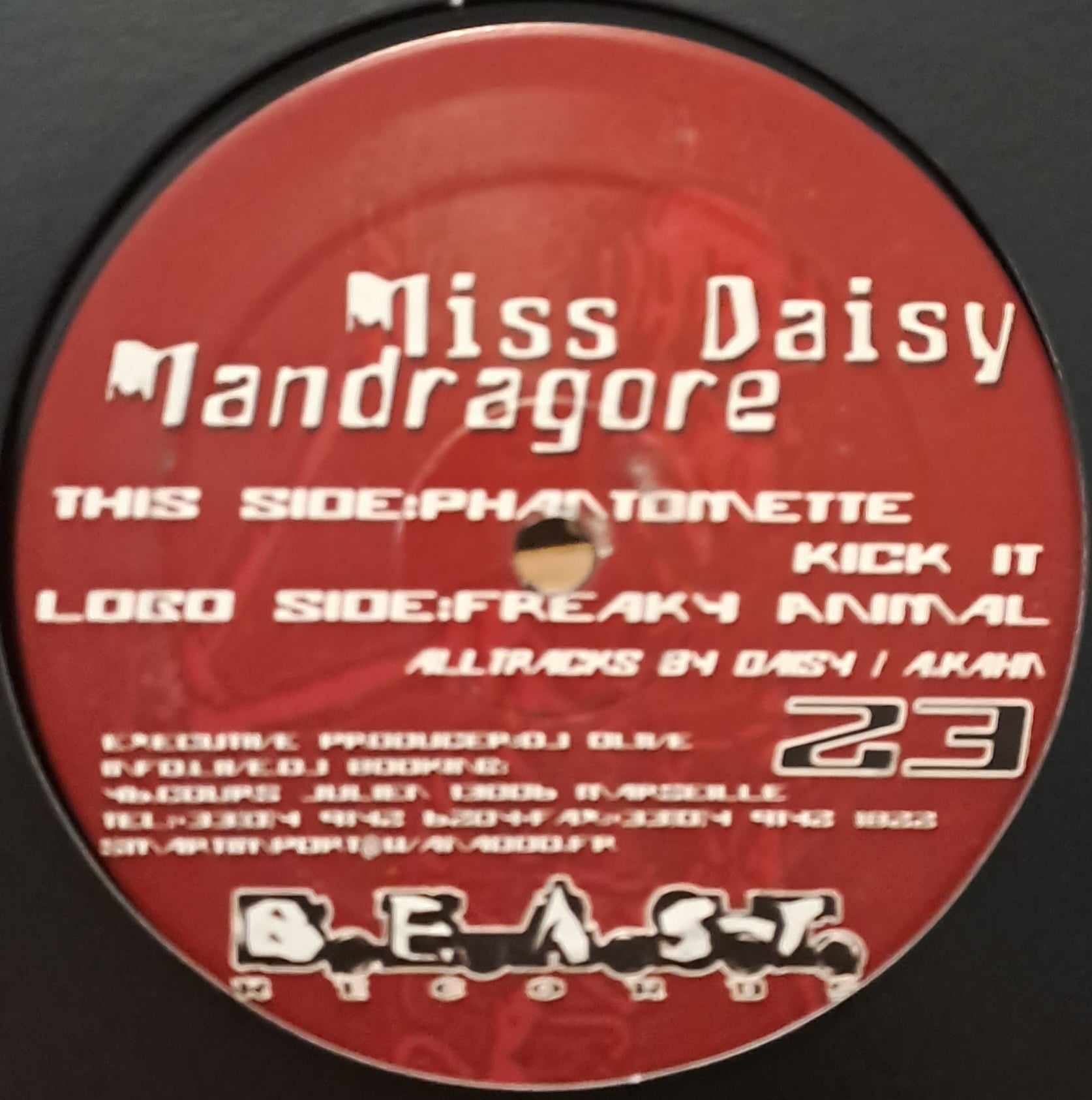 B.E.A.S.T. 23 - vinyle hardcore